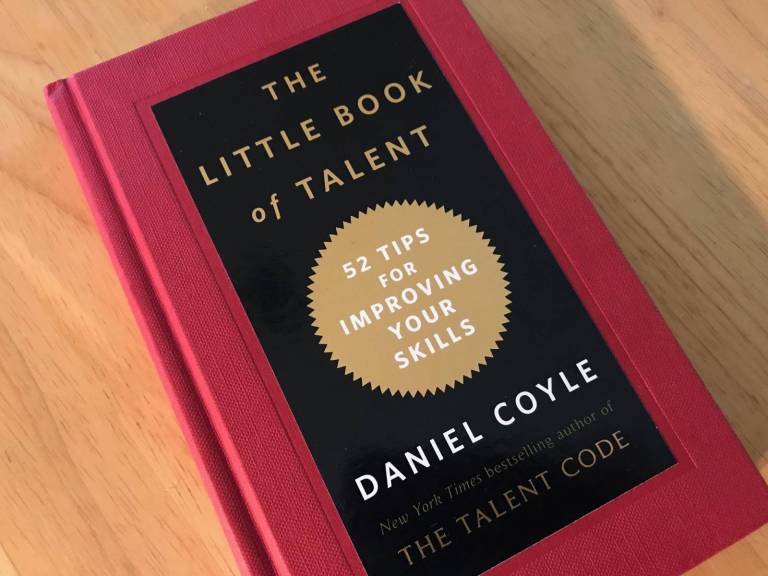 the little book of talent