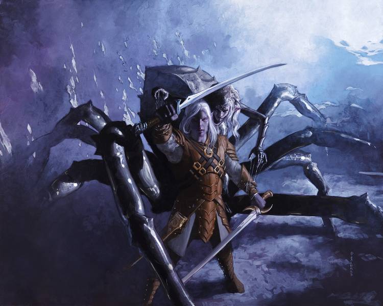 Lolth's Warrior by David Palumbo